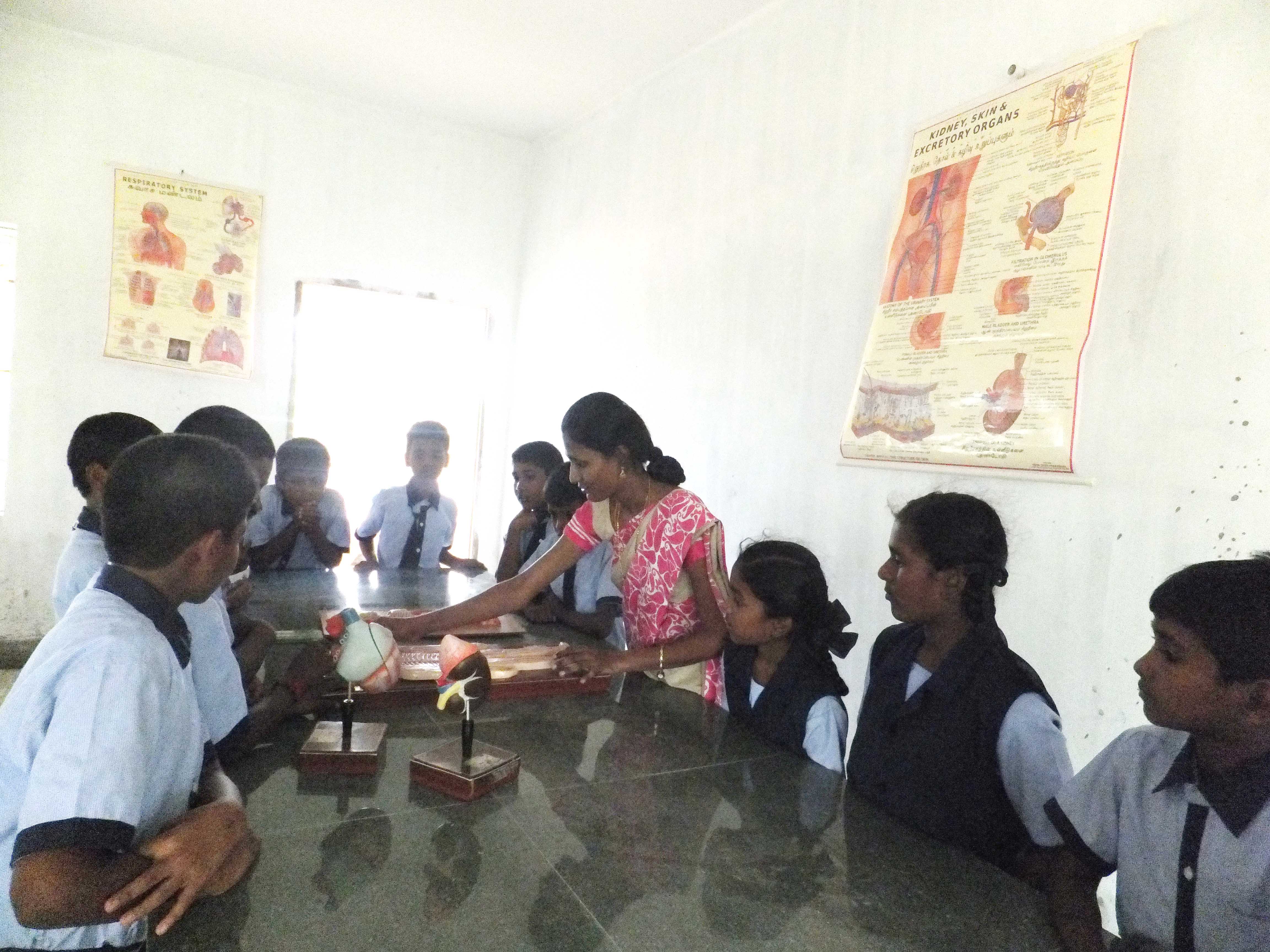 zoology-2